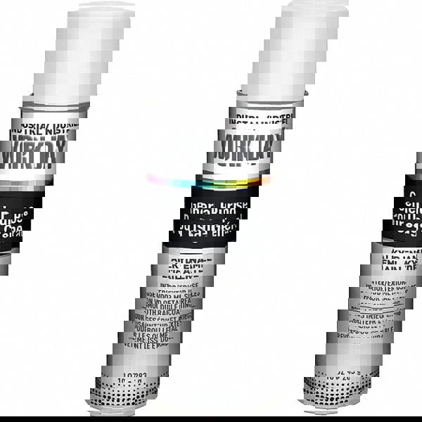 Enamel Spray Paint: White, Flat, 10 oz